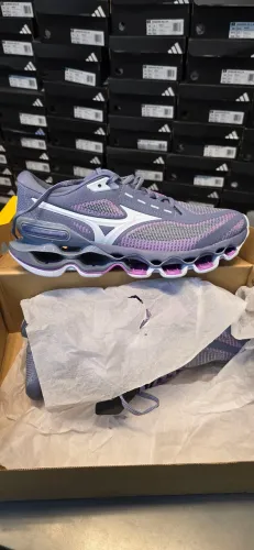 Mizuno prophecy 15