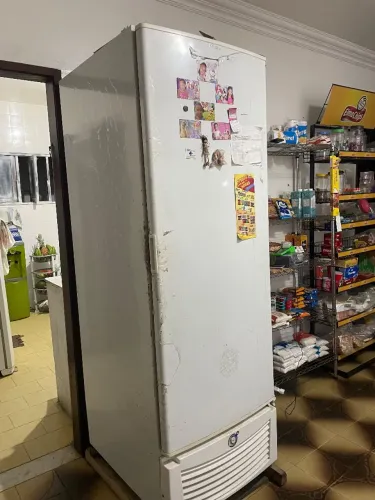 Freezer vertical