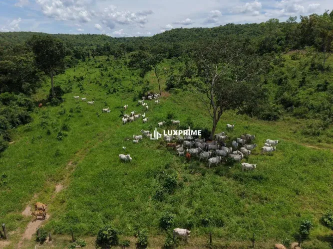 Fazenda a venda na região de Aparecida do Rio Negro 104 km de Palmas