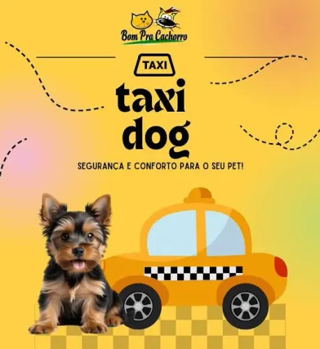 Taxi dog: conforto e segurança para seu pet!