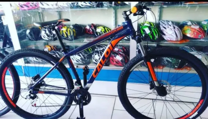 Bicicleta
