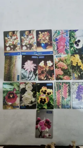 Lote Com 29 Cartões Telefônicos Antigos - Séries Flores E Frutas (Telefônica)<br><br>