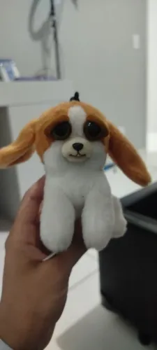 Basset chaveiro