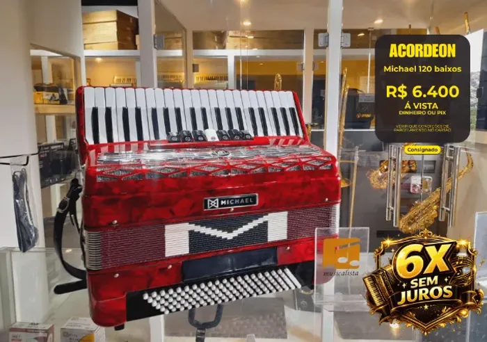 Acordeon 120 baixos Michael ACM1207N