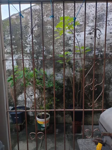 Grade de Ferro para Terraço