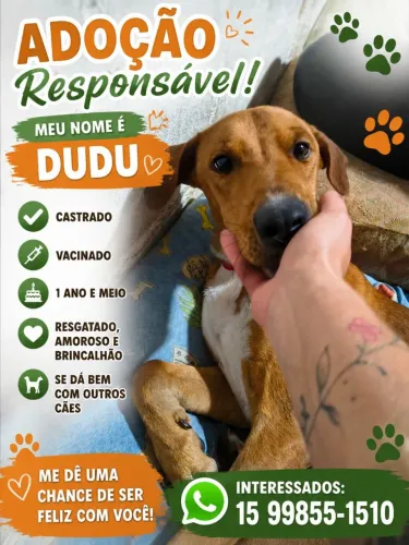 Doação responsável
