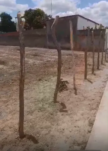 Grande Oportunidade