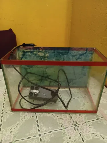 Vendo aquario 