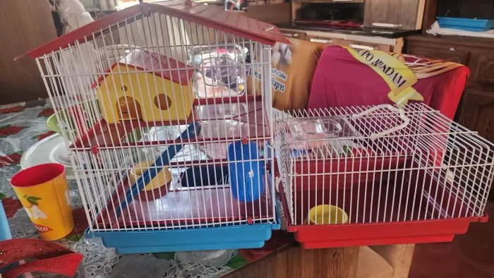 2 gaiola por 150