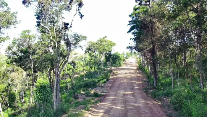 São Roque: Oportunidade Única de Investimento em Lotes de 1.000 m²!Dentro da Rota do Vinho