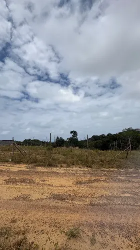 Terreno a venda.