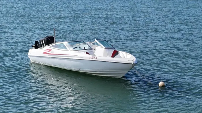 Lancha Millenium 195 2011 | Mercury 115HP | 250h | Completa | R$60mil