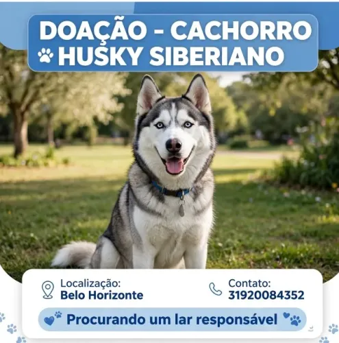 Doação