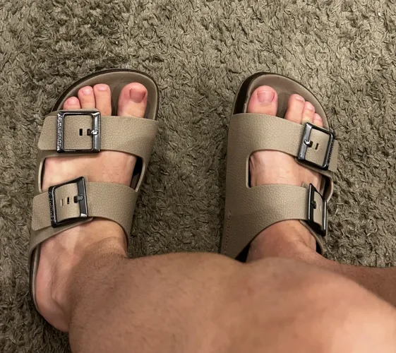 Birken Cartago Original TAM 38 (Negocio)