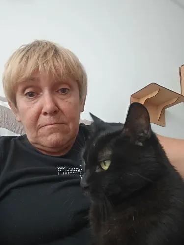 Cuidadora de gatos a domicílio