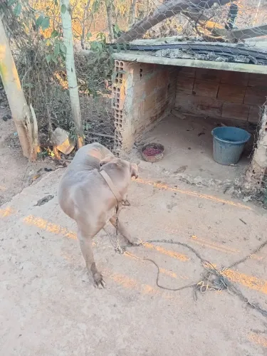 Estou doando por gue não tem condições