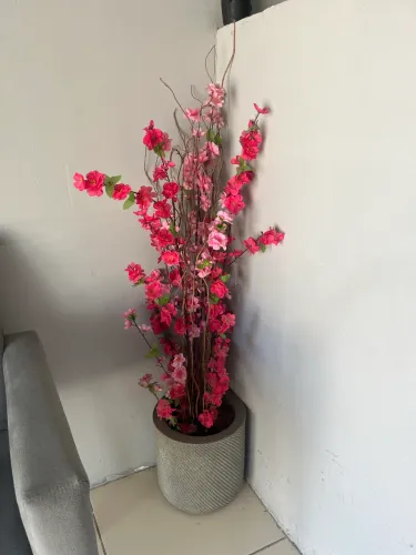 Decoração