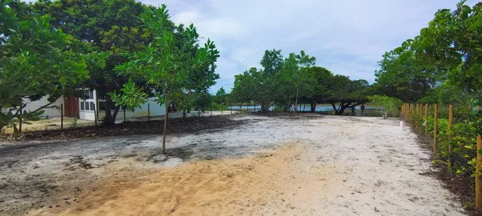 Lote águas de Sauípe 827 m² fundo lagoa