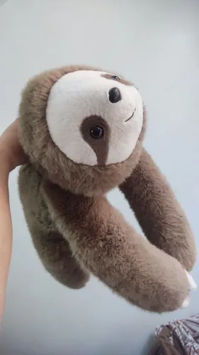 Bicho preguiça Família