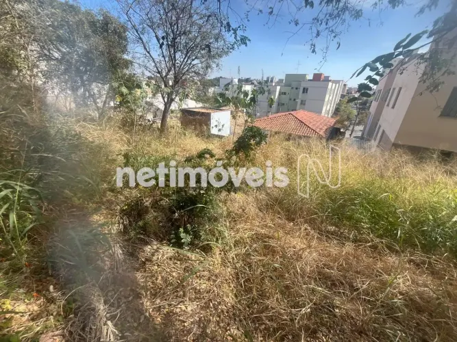 Venda Lote-Área-Terreno Heliópolis Belo Horizonte