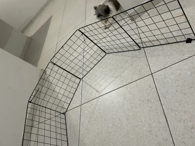 Cercadinho animal