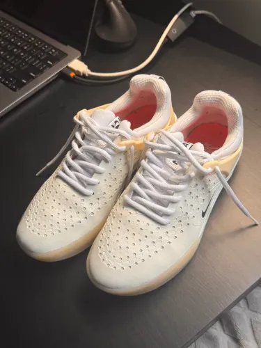 Nike SB Nyjah 37