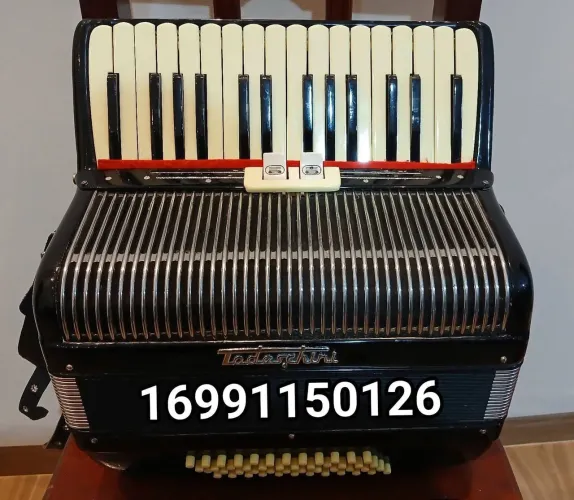 Acordeon Sanfona Todeschini de 48 baixos * 