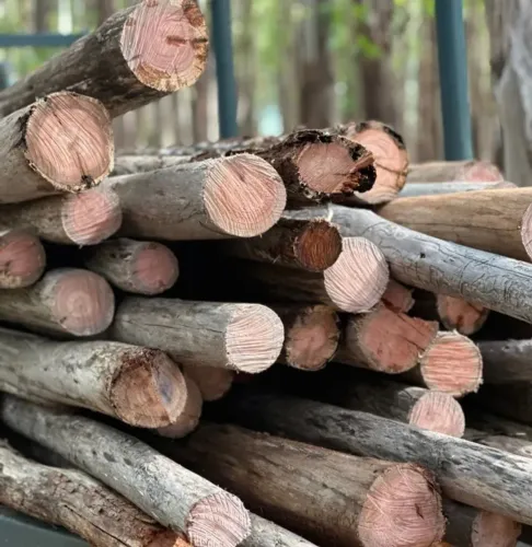 Madeira pra lenha e fogo doação 