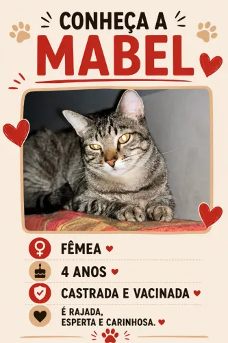 Gata fêmea para doação - Mabel