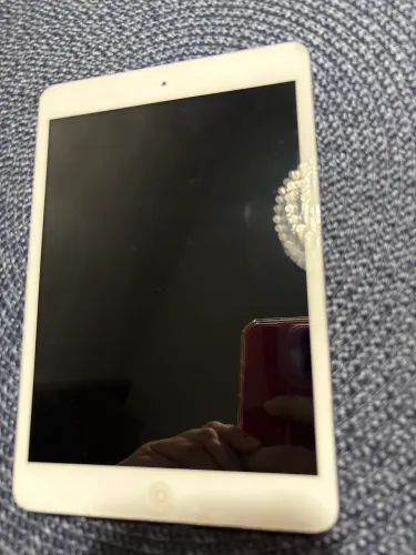 iPad mini 2 