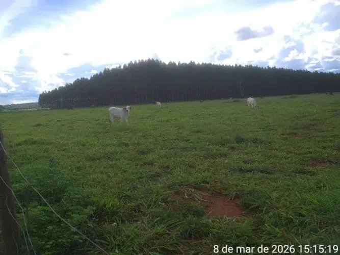 Vende-se chácara de 30.000m2. Faz. Cachoeira, Jaraguá/GO. Valor 380.000 Fone *