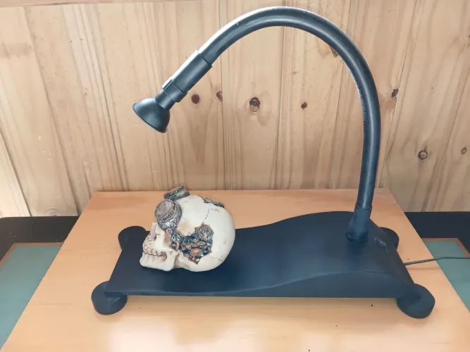 Luminaria skull