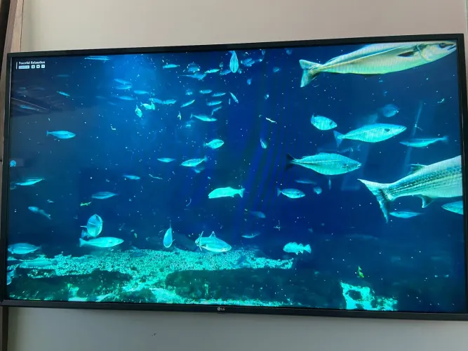 Smart tv Lg 55 polegadas