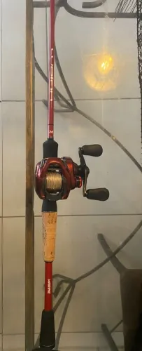 Conjunto shimano scorpion + Marine Lubina 12-25libras