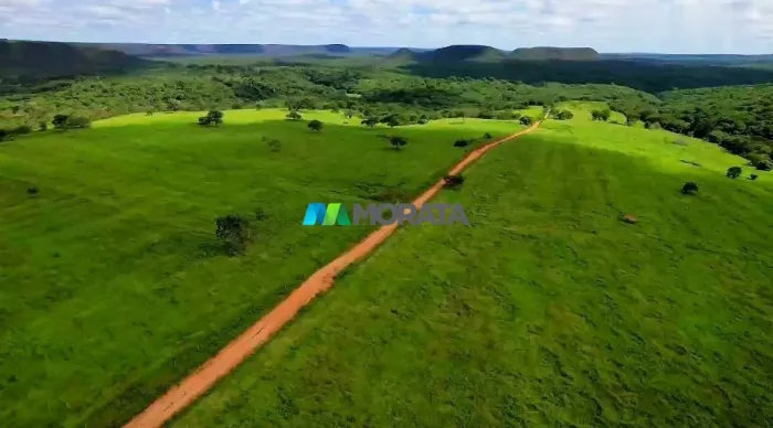 FAZENDA À VENDA - 1.257 HECTARES - SÃO JOÃO DA PONTE (MG)