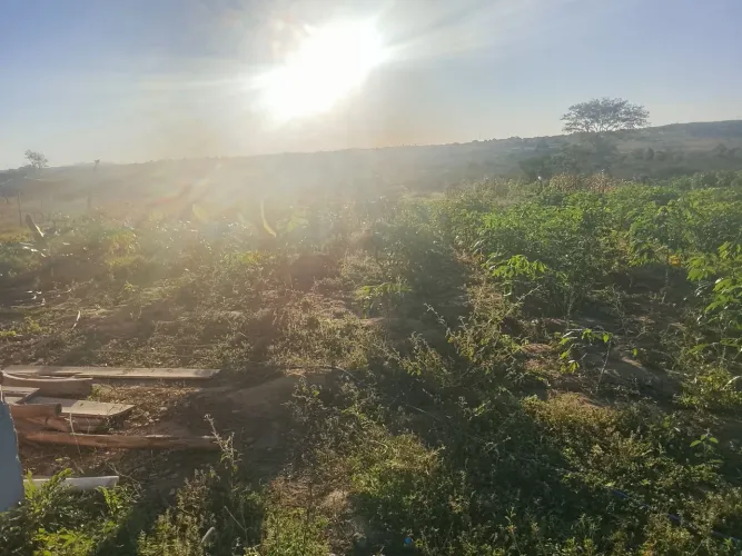 Vende-se terreno com casa