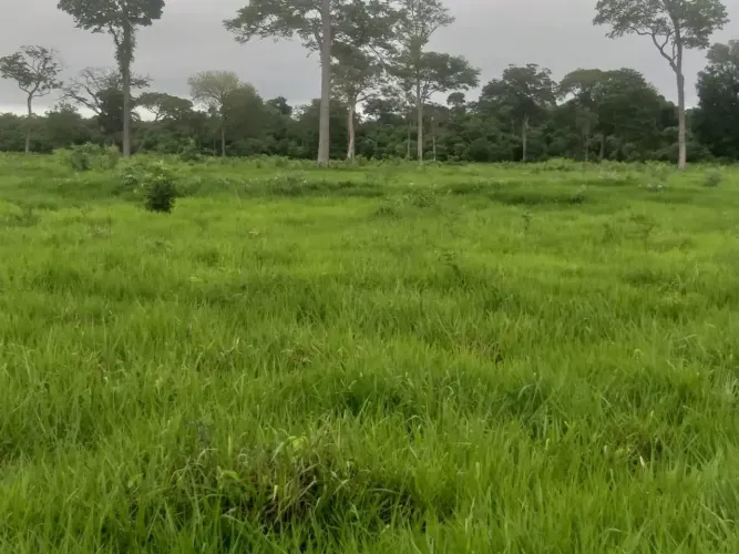 FAZENDA À VENDA EM BRASILÂNDIA/MS BEIRA DO RIO PARANÁ