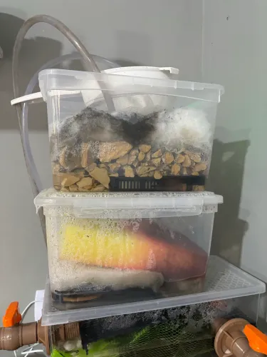 Aquário 75 litros