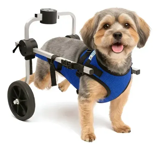[DOAÇÃO] Cadeira de rodas cachorro (PET)