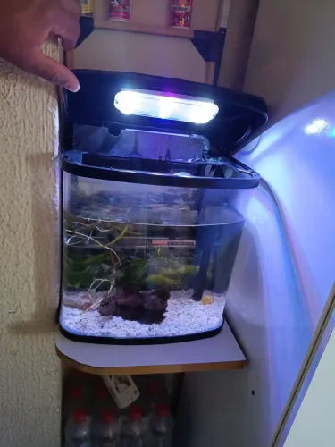 Aquário 13L Completão +entrega free.
