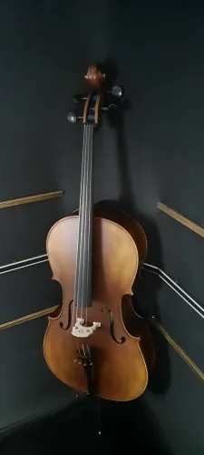 Violoncelo Eagle Ce310 maciço!  