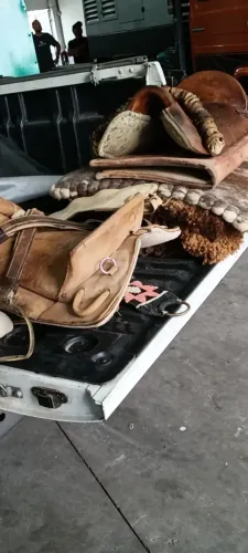 Encilha completa