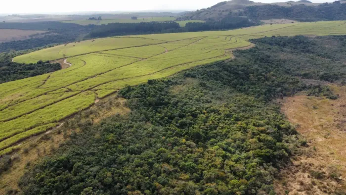 Fazenda á venda em Piracicaba SP