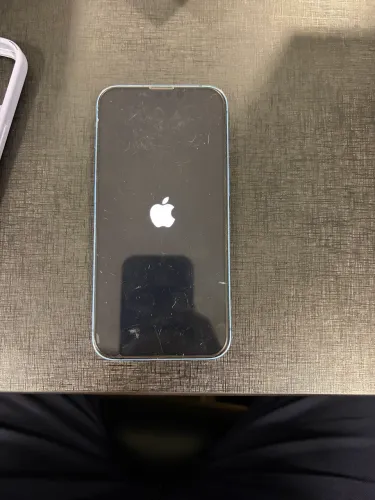 iPhone 13