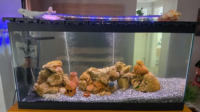 Vendo Aquário 200 litros com acessórios