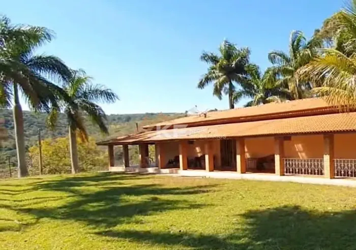 FAZENDA DE CAFÉ ESPECIAL E PECUÁRIA EM MONTE SANTO DE MINAS