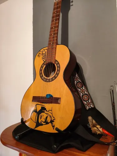 Viola caipira 2015 rozini rv153 customizada