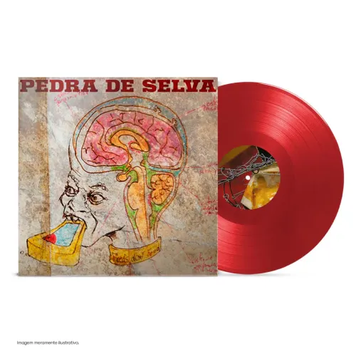Lp Curumin - Pedra de Selva NOIZE (lacrado)
