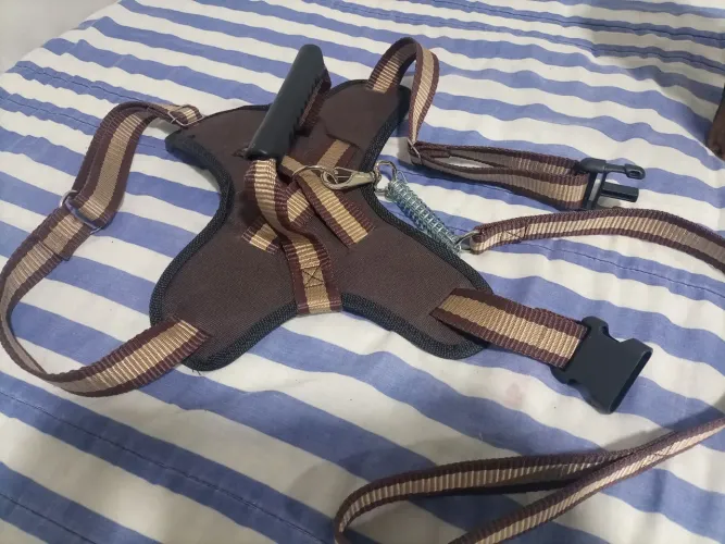 Coleira para cachorro tamG, reforçada,nova