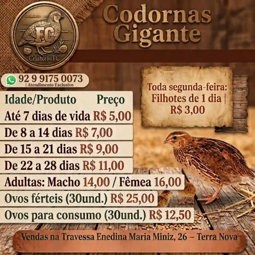 Codorna gigante a partir de R$ 3,00